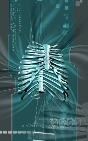 Digital Illustration Rib Cage Colour Background — Stock Photo, Image