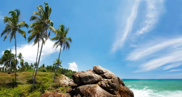 Paraíso Tropical Sri Lanka Tangalle Con Palmeras Colgando Sobre Playa — Foto de Stock