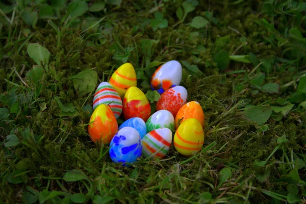 Easter Eggs Grass — Stock Photo, Image