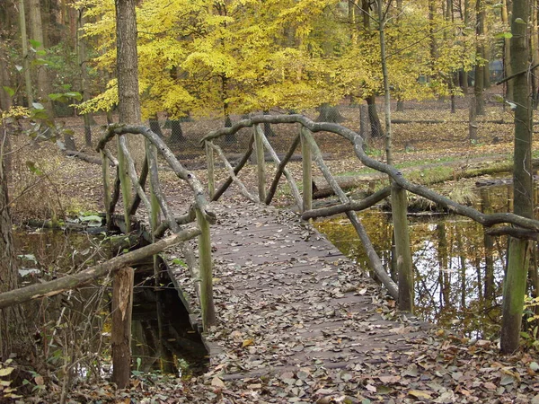 Vue Panoramique Sur Architecture Structure Pont — Photo