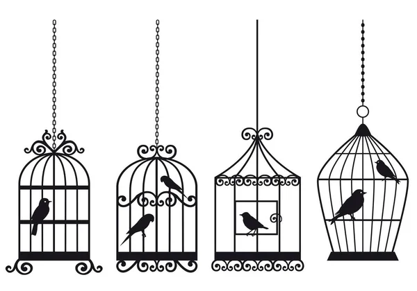 Ensemble Cages Vintage Avec Oiseaux Illustration — Photo