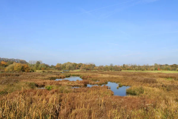 Wetlands Lippe Hamm — Stock Photo, Image