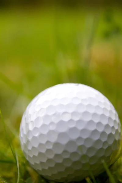 Golfe Esporte Clube Bola Que Jogadores Usam Vários Clubes Para — Fotografia de Stock