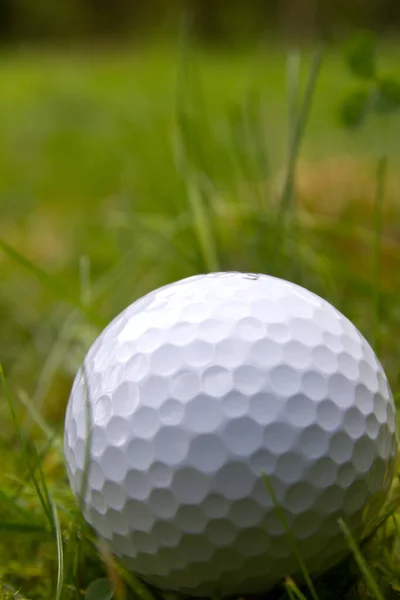 Golf Είναι Ένα Club Ball Αθλητισμού Στο Οποίο Παίκτες Χρησιμοποιούν — Φωτογραφία Αρχείου