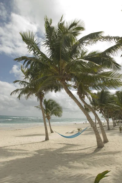 Playa Tropical Con Palmeras Cielo Azul —  Fotos de Stock
