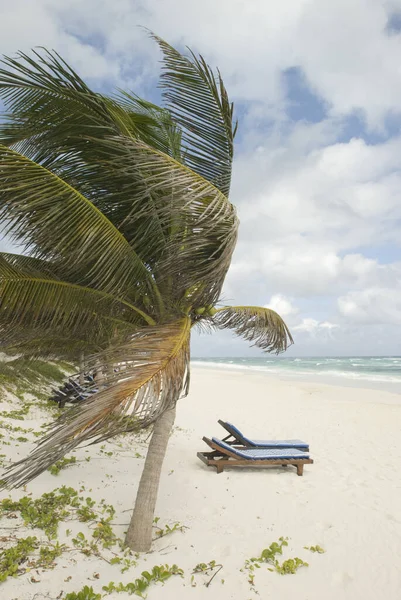 Hermosa Vista Orilla Del Mar — Foto de Stock