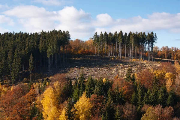木々や青空が広がる秋の風景 — ストック写真