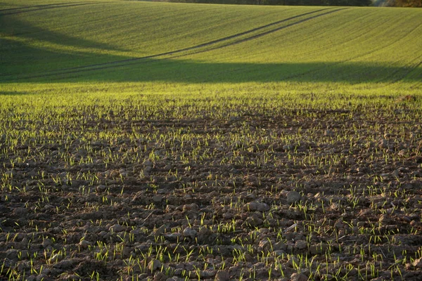 Schöne Aussicht Auf Die Natur — Stockfoto