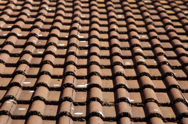 Detail Eines Dachziegels — Stockfoto