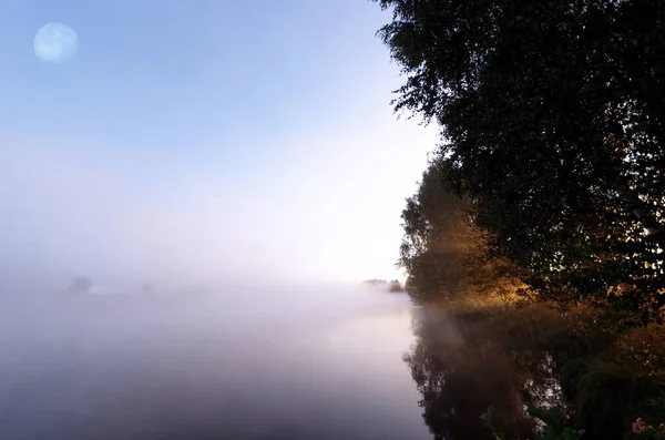 Misty Atmosphere Morning Light Pond — Stock Photo, Image