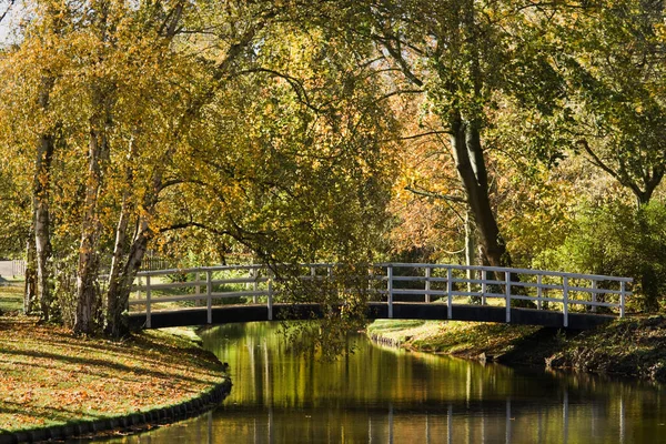 Пруд Парке Осенью Белым Мостом Красочными Деревьями — стоковое фото