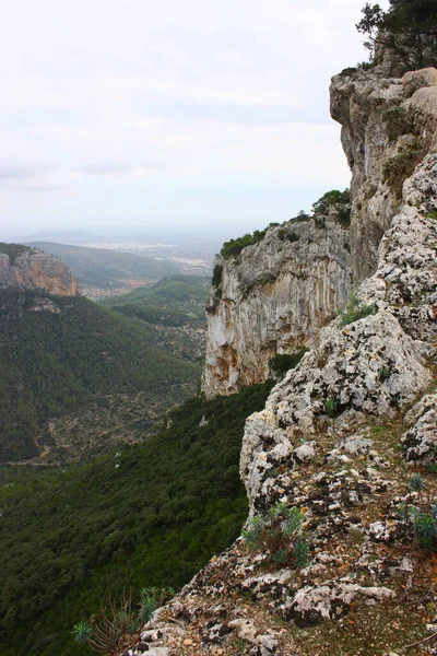 Burgruine Starhemberg Hrad Dolním Rakousku — Stock fotografie