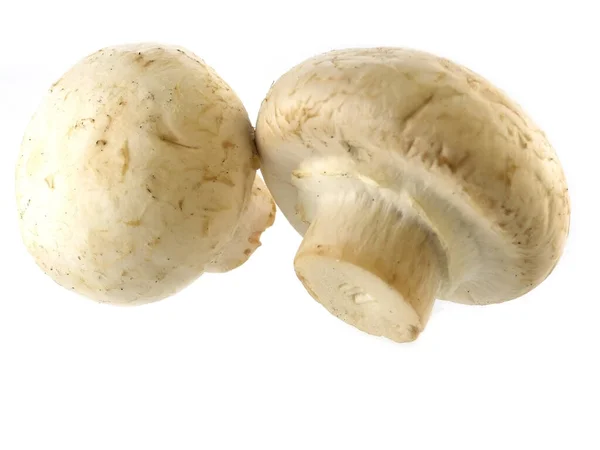 Série Alimentos Cogumelos Frescos Isolados Sobre Fundo Sólido — Fotografia de Stock