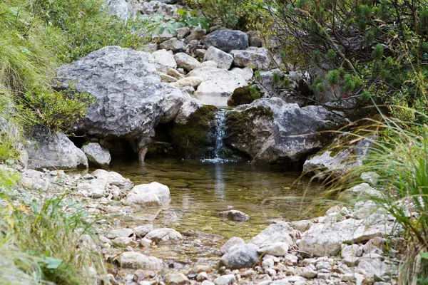 Vodopád Přírodním Lese Krajina — Stock fotografie