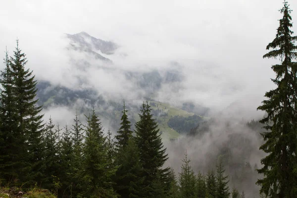 Schöne Aussicht Auf Die Natur — Stockfoto