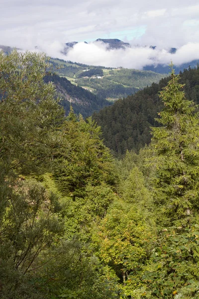 Hermosa Vista Naturaleza — Foto de Stock