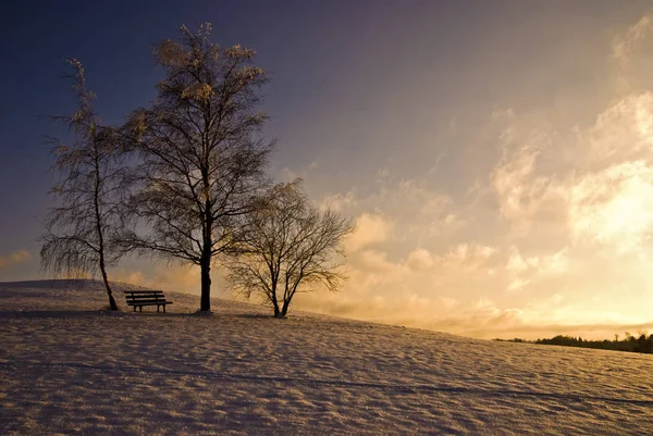 Pittoresca Vista Sul Paesaggio Invernale Innevato — Foto Stock