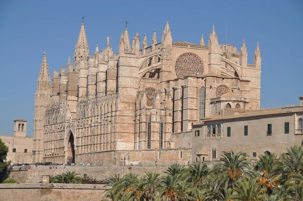 Palma Daki Katedraller Mayorka — Stok fotoğraf