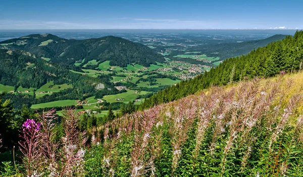 Alpin Äng Sluttning Från Unterberg Ruhpolding — Stockfoto