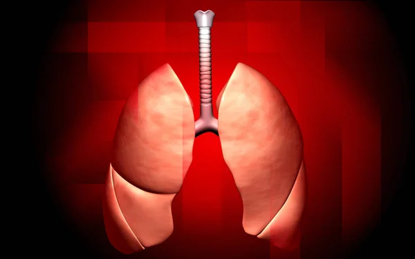 Ilustración Digital Los Pulmones Humanos Fondo Color — Foto de Stock