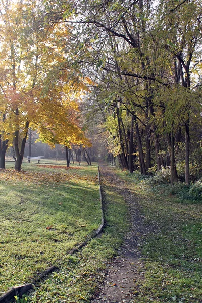 Sentiero Nel Parco Autunno — Foto Stock