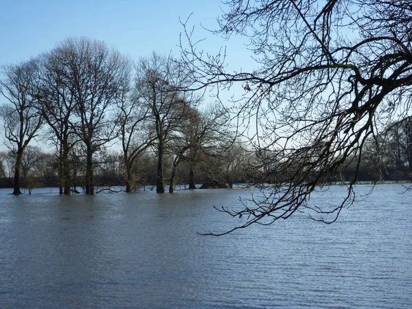 Flood Paddocks — Stock Photo, Image