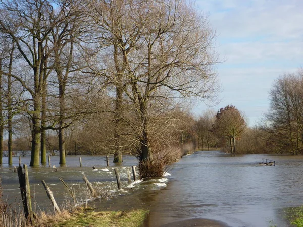 Flooding Paddocks — Stock Photo, Image