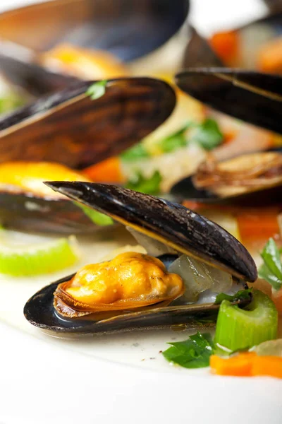 Mussels Cooked Vegetables Wine Sauce — Stock Photo, Image