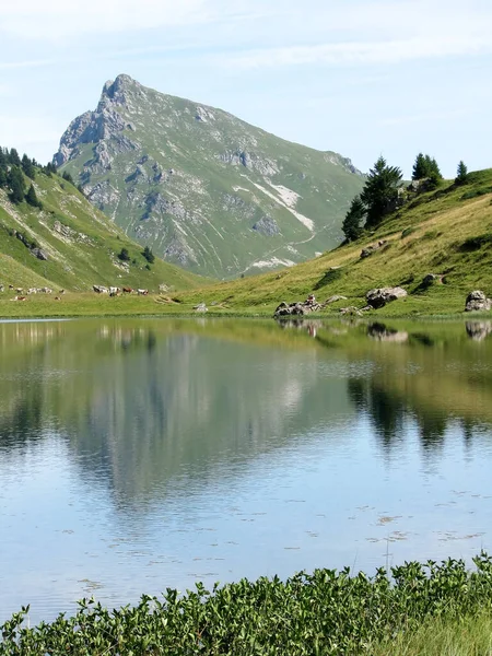 Danau Dengan Refleksi Alpen Perancis — Stok Foto