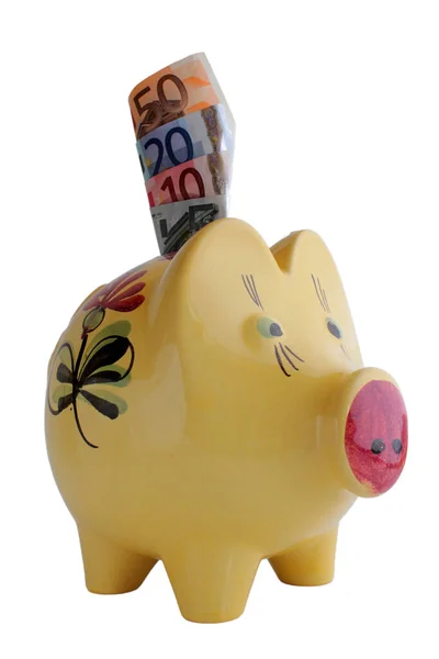 Piggy Bank Different Variations — Stock Photo, Image
