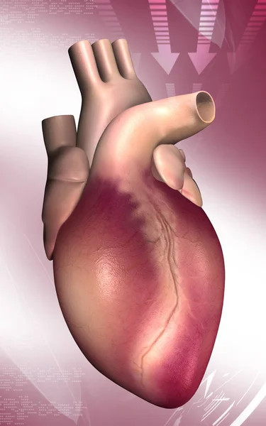 Cyfrowa Ilustracja Serca Tle Koloru — Zdjęcie stockowe