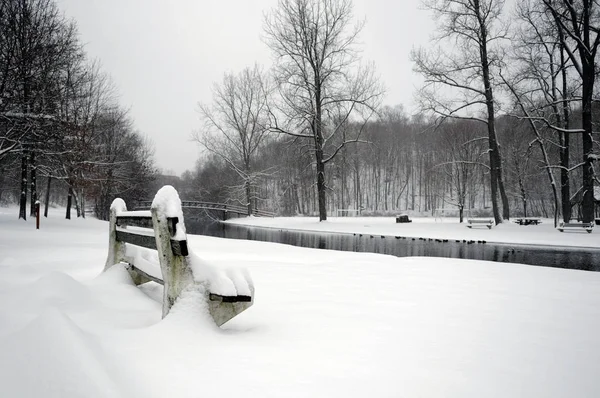 Místní Park Plně Pokrytý Sněhem Vinaři — Stock fotografie