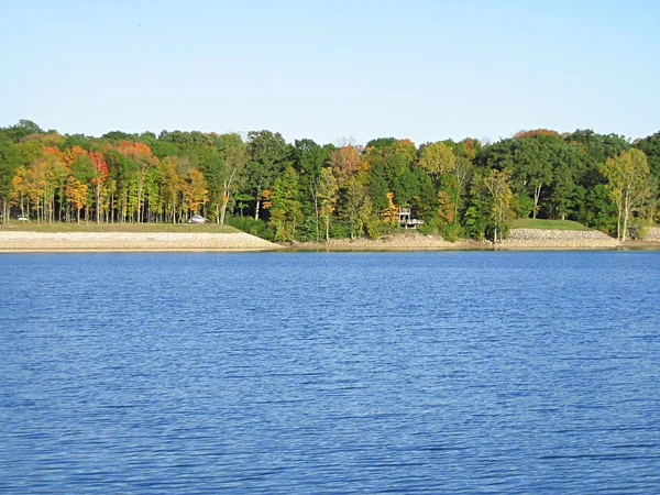 Een Foto Van Herfst Bladeren Door Het Water — Stockfoto