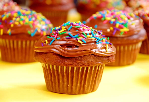 Sprinkles Ile Çikolata Buzlu Cupcakes — Stok fotoğraf