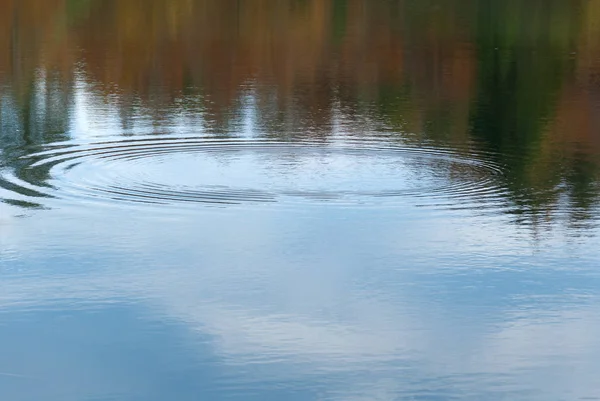 Automne Réfléchi Sur Lac Bocco Ligurie — Photo