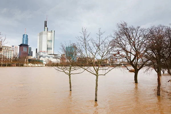 Frankfurt January 2011 Flood Frankfurt Main Due Extremely High Water — Stock Photo, Image