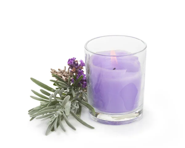 Lavender Candle Fresh Lavender White — Stock Photo, Image