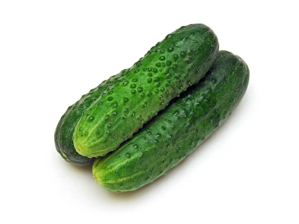 Sommige Augurkenkomkommers Cucumis Sativus — Stockfoto