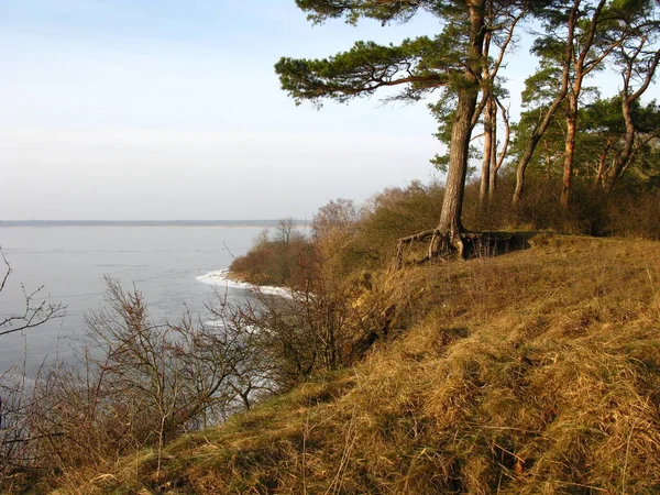 Winter Auf Der Lagune — Stockfoto