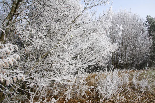 Vacker Utsikt Över Naturen Landskap — Stockfoto