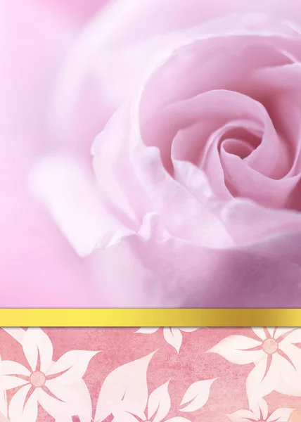 Fundo Bonito Com Rosa Rosa Listra Dourada — Fotografia de Stock