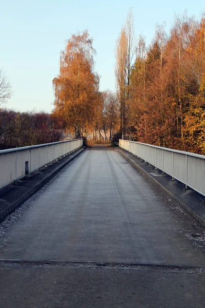 Smidig Bro Vid Frost — Stockfoto