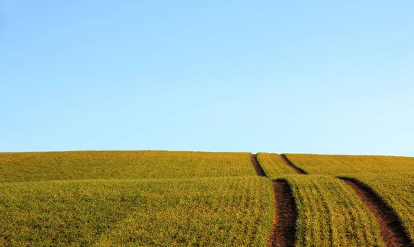 田舎の畑自然農業 — ストック写真