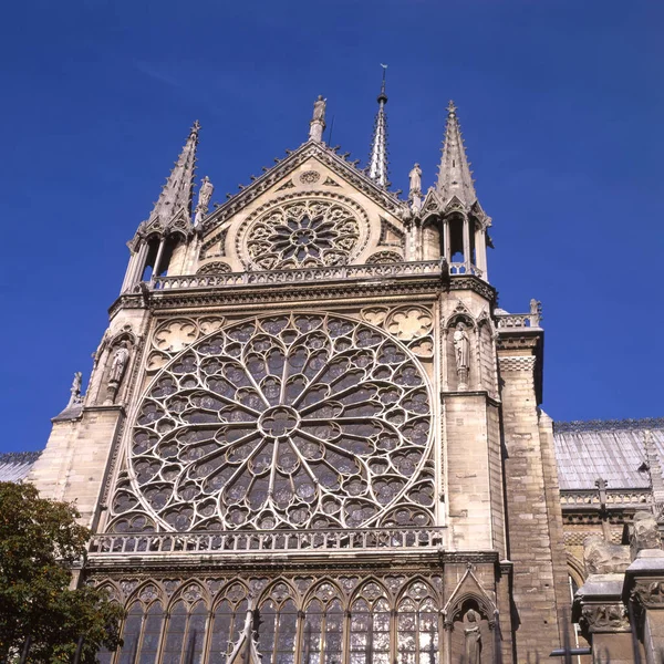 Janela Rosa Fora Catedral Notre Dame Ile Cite Paris França — Fotografia de Stock