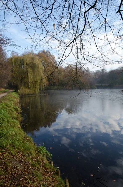 Herfst Landschap Met Rivier Bomen — Stockfoto