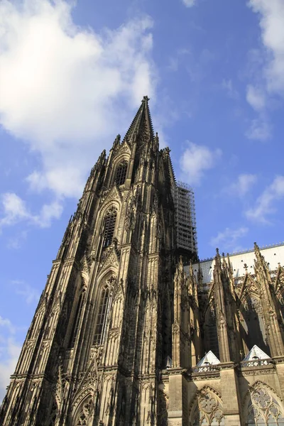 Kölni Katedrális Közelkép — Stock Fotó