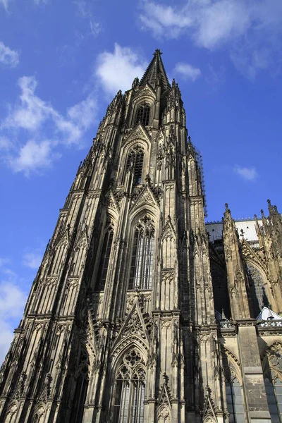 Cologne Καθεδρικός Ναός Closeup — Φωτογραφία Αρχείου
