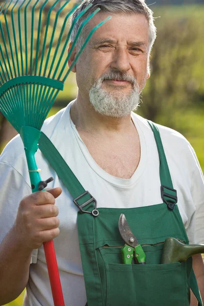 Porträtt Senior Man Trädgårdsskötsel Sin Trädgård Fruktträdgård Färg Tonad Bild — Stockfoto