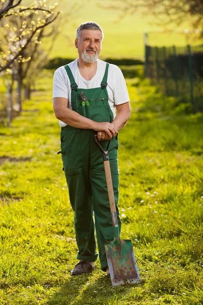 Retrato Homem Sênior Jardinagem Seu Jardim Pomar Cor Tonificada Imagem — Fotografia de Stock