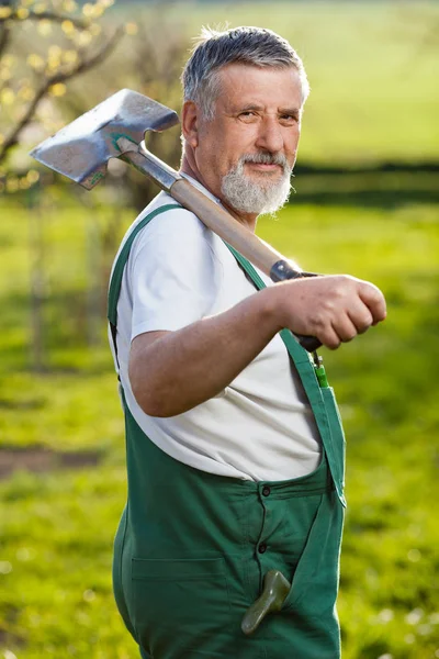 Porträtt Senior Man Trädgårdsskötsel Sin Trädgård Fruktträdgård Färg Tonad Bild — Stockfoto